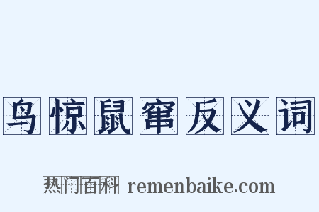 鸟惊鼠窜反义词是什么意思的图片